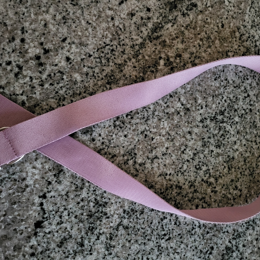 🌸 Target Pink Canvas D-Ring Belt (Size L) 🌸